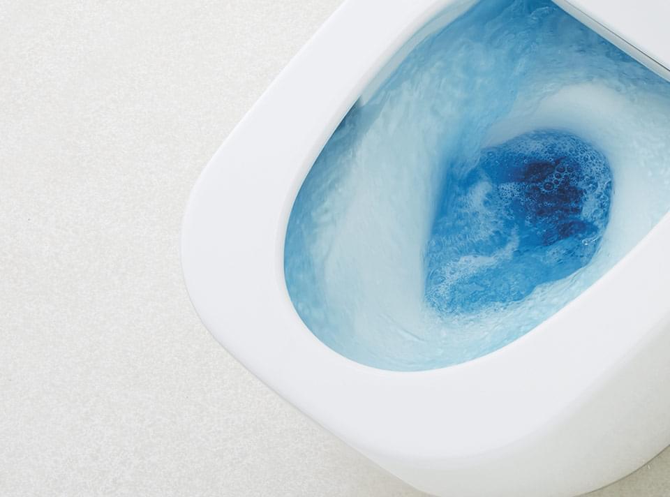 Anti Bacterial Toilet Seats